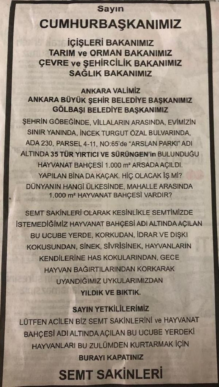 Ankarada aslan kükreme sesinden uyuyamıyorlardı... Mahalleli harekete geçti