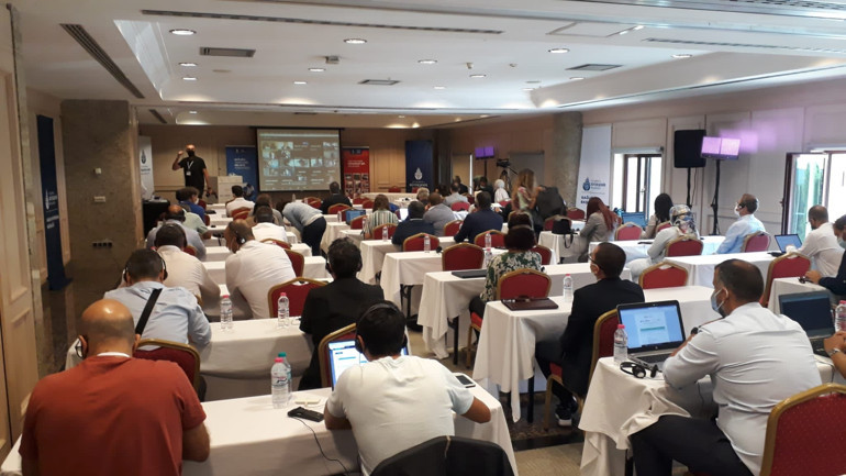 İstanbulluların kâbusu oldular Dikkat çeken sivrisinek haritası