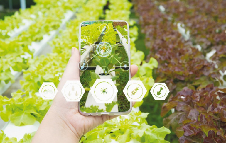 Soframıza gelen gıdanın izini sürüyoruz