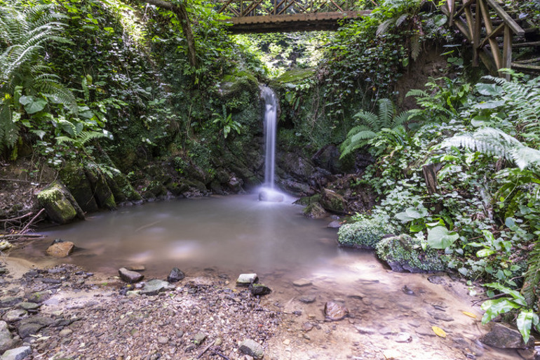 Birkaç saatte sonbahara kaçış... İstanbul, Ankara ve İzmire yakın 12 adres