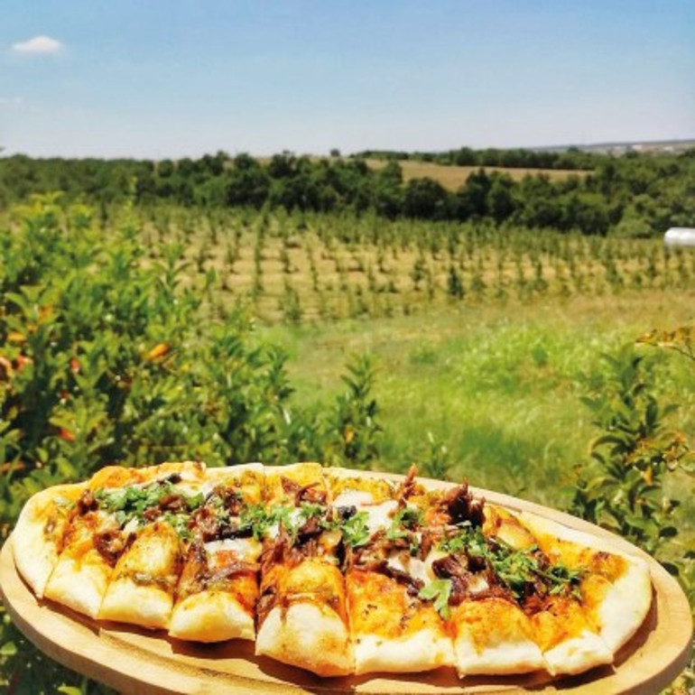 Asmalar arasında lezzet turu