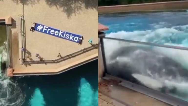 44 yıllık çaresizlik Adeta Ölmek istiyorum dedi