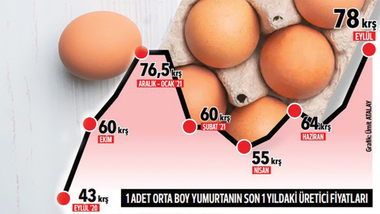 Artan fiyatlar mercek altında... Yumurta fiyatları kanatlandı