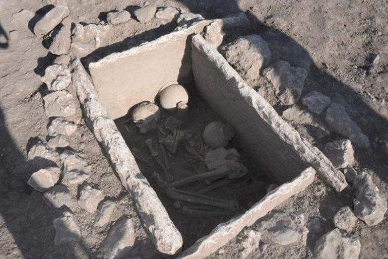 Çayönü Höyüğünde 5 bin yıllık sandık mezar bulundu