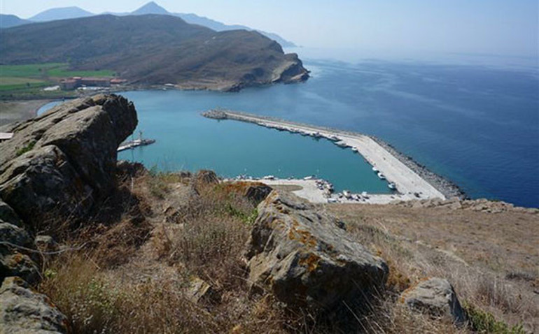 Sarı Yaz Tavsiyeleri