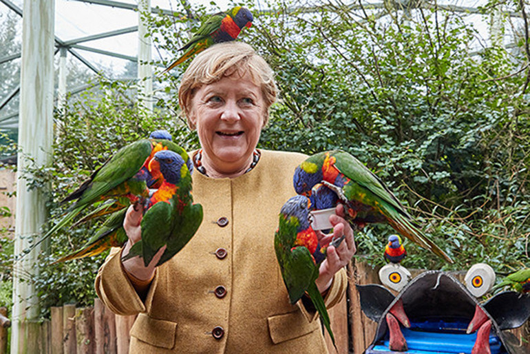 Kuşları beslerken Merkel