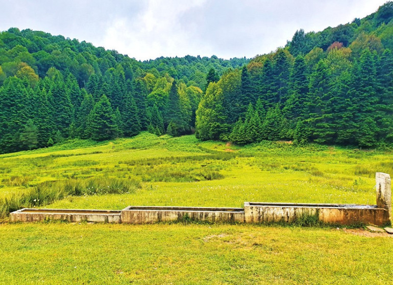 Büyük şehirlerin yanı başındaki en güzel 10 kamp alanı