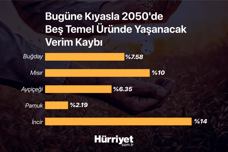 Dünya için 2050 alarmı Biz bugünü tartışıyoruz ama...
