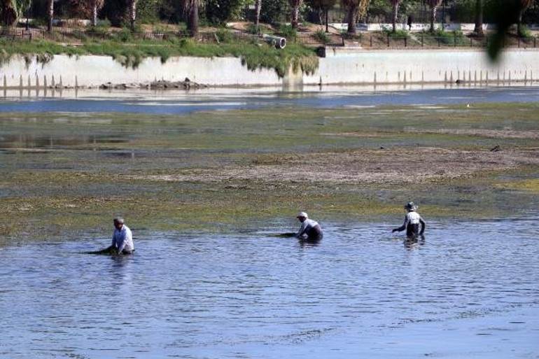 Yosunla kaplanmıştı... Seyhan Nehri’nde dip temizliği