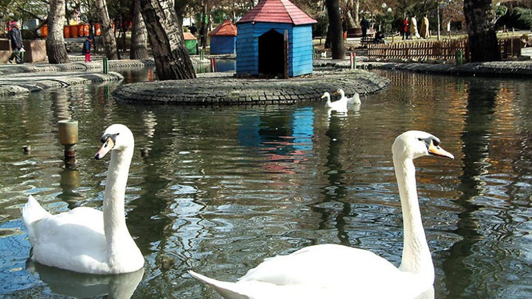 Yapraklar dökülürken doğa bir başka güzel