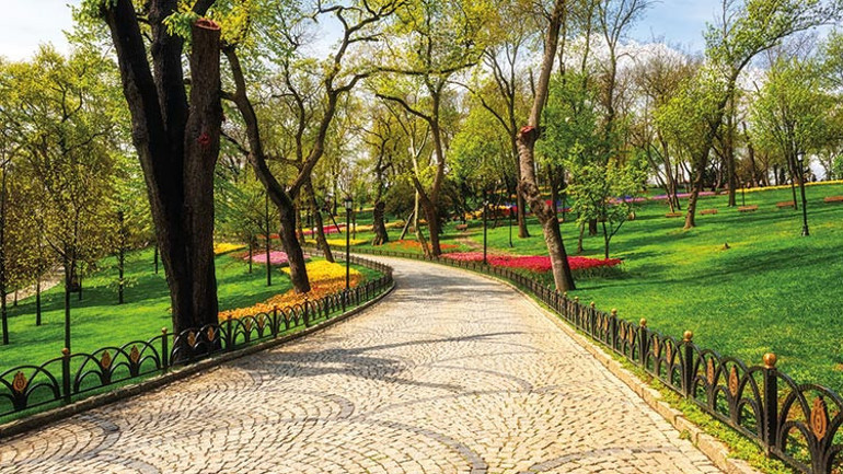 Yapraklar dökülürken doğa bir başka güzel