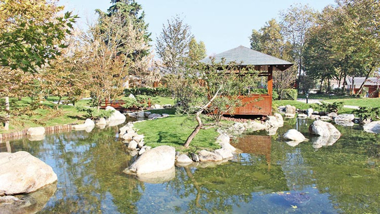 Yapraklar dökülürken doğa bir başka güzel