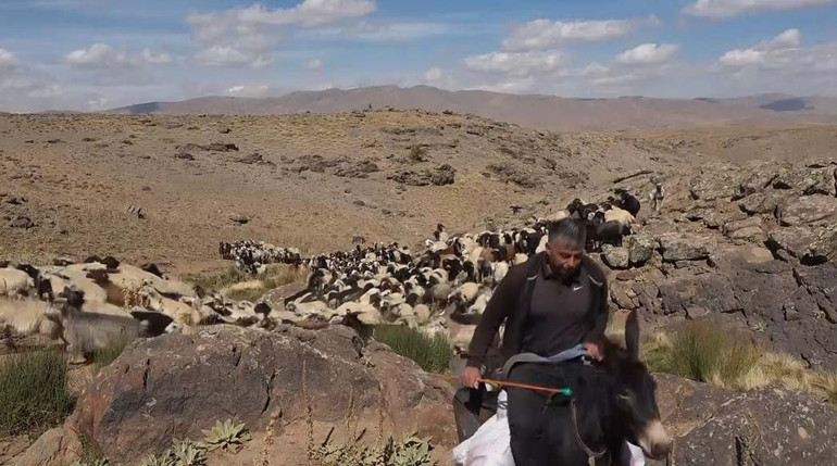 Vanda kuraklık nedeniyle yayladan erken dönüş