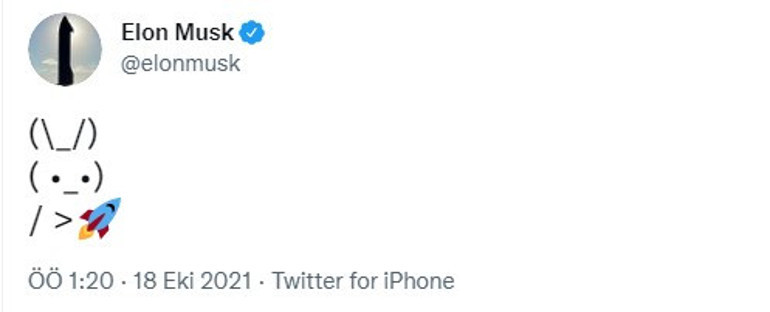 Son dakika... Elon Musk yine tweet attı Dogecoin, Shiba Inu yükseldi