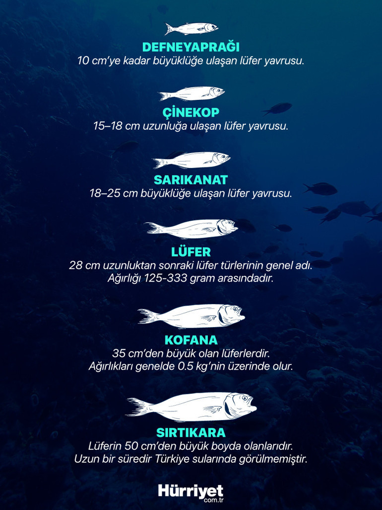 Vay lüfer vay... İstanbulun simgesi küllerinden doğuyor