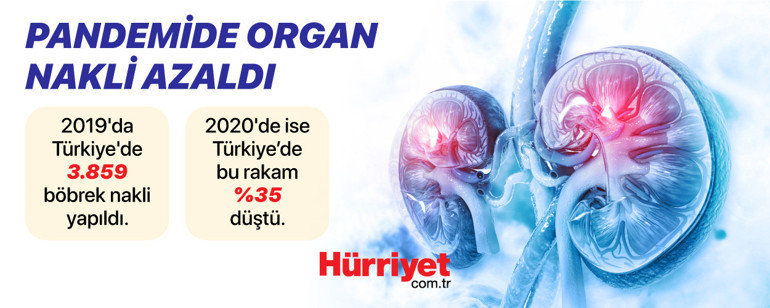 Domuzdan insana organ nakli Türkiye için de umut oldu...