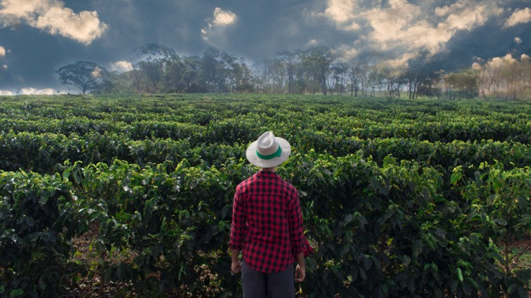 Kıtlık ekonomisi büyüyor: Hangi ülkede ne YOK