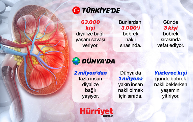 Domuzdan insana organ nakli Türkiye için de umut oldu...