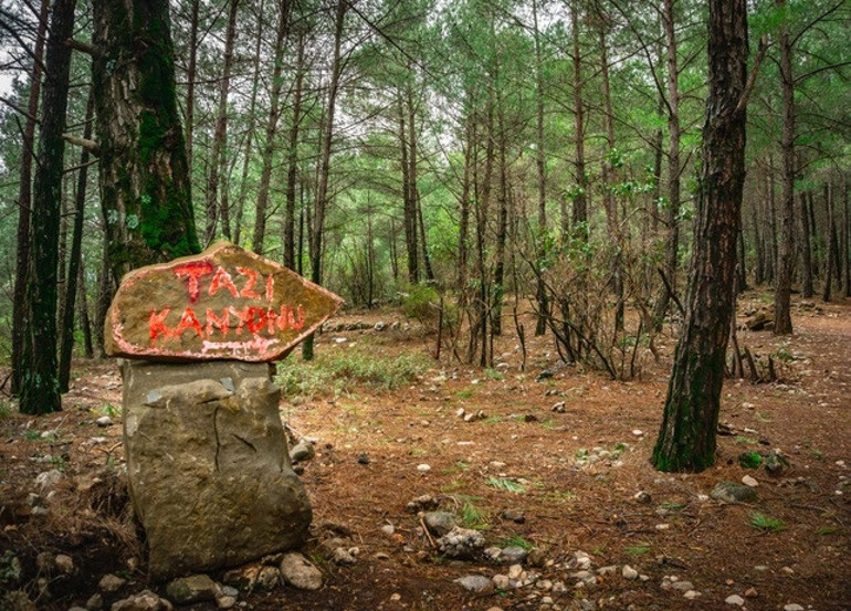 Türkiye’nin doğa harikası kanyonları… 7 şehirden sonbaharın yakıştığı en güzel 10 kanyon