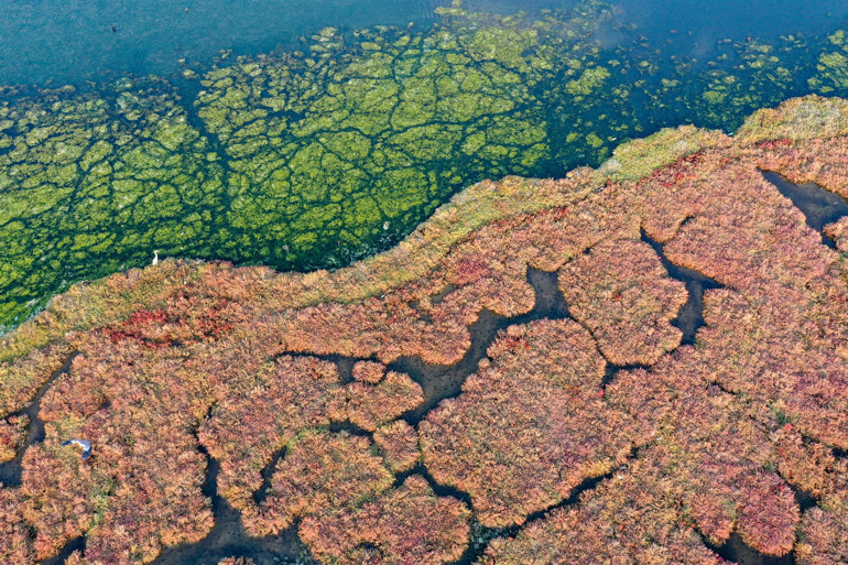 İzmirde şaşırtan manzara Görenler bir daha baktı