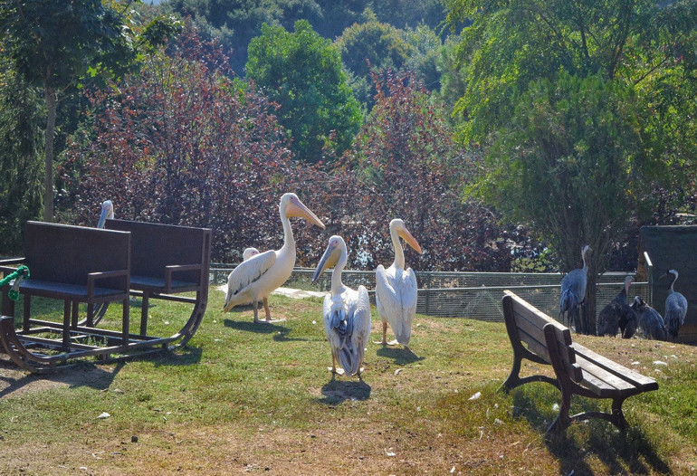 Çocuklar hepsini çok sevecek: Ara tatilin en eğlenceli adresleri... | 10 ŞEHİR 20 ÖNERİ