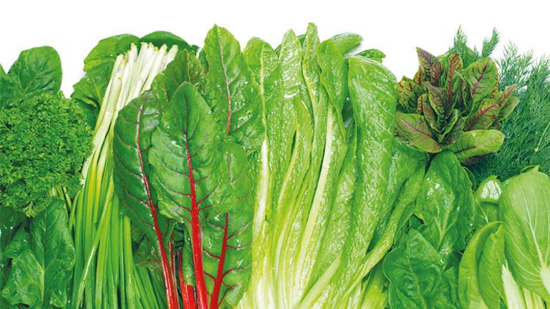 Yeşillerin şifalı dünyası