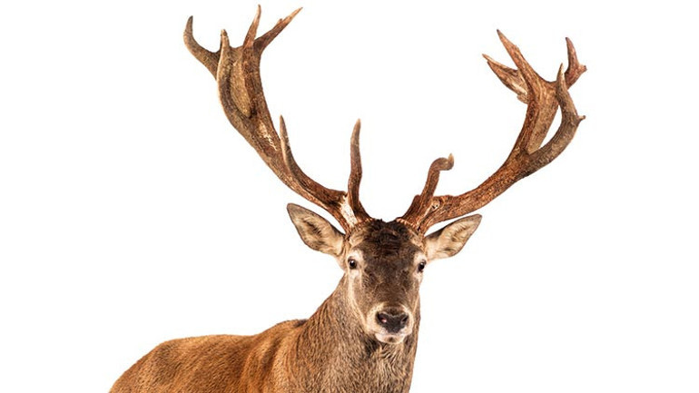 İklim zirvesi ve onun gerçekleri