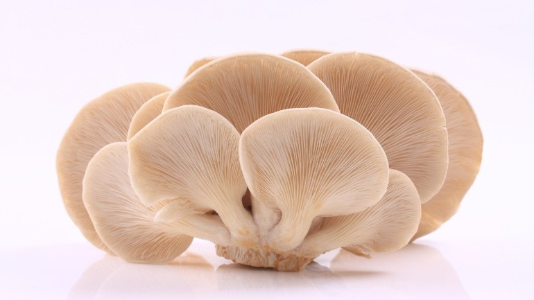 Cinsel Gücü Artıran Besinler Cinsel Güç Doğal Yollarla Nasıl Artırılır