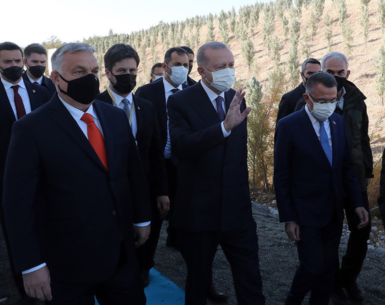 Son dakika... 11 Kasım Milli Ağaçlandırma Günü... Cumhurbaşkanı Erdoğan duyurdu: 81 ilde 81 Millet Ormanı