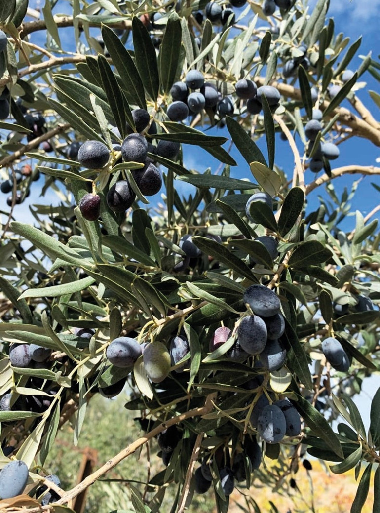 Gödence’de zamanın akışına ayak uydurmak