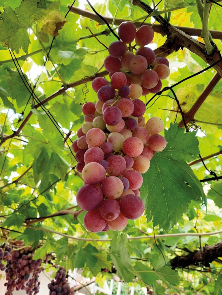 Gödence’de zamanın akışına ayak uydurmak