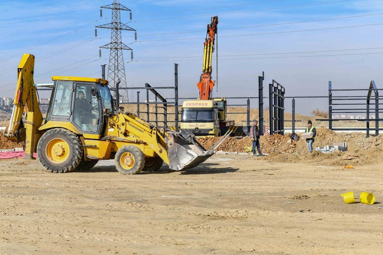 6 bin sokak hayvanına ev sahipliği yapacak