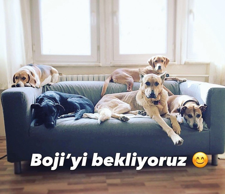 Mert Baba’nın çiftliği