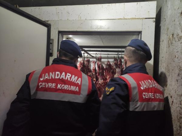 Jandarmadan baskın: 300 kilo at eti ele geçirildi Baba-oğul gözaltında