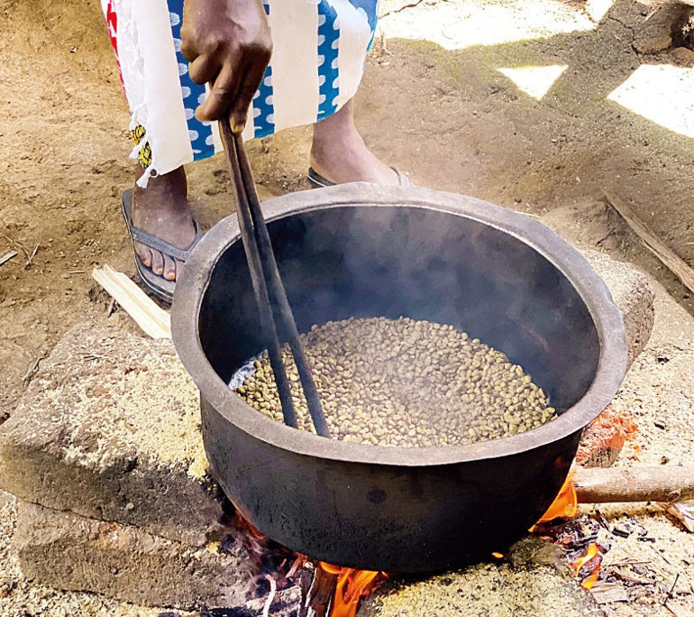 Kilimanjaro’nun eteklerinde bir kahve macerası