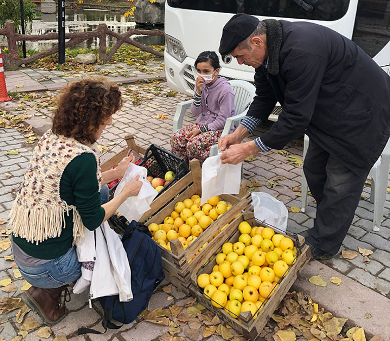 Domaniç Dağlarında sonbahar renkleri