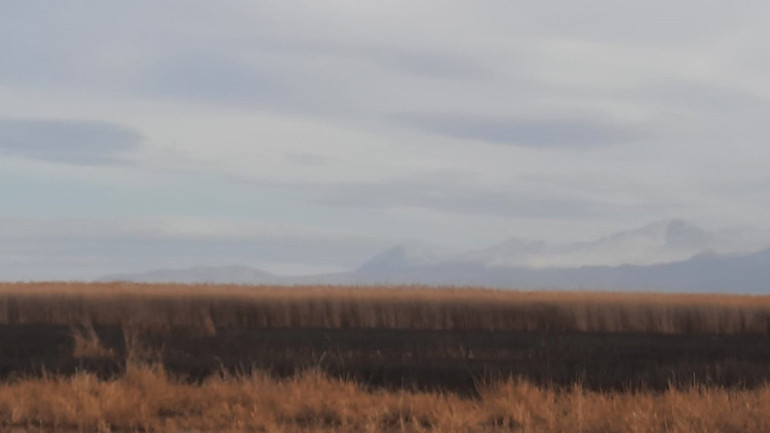 Sultan Sazlığı Milli Parkındaki yangın, 7 saatte söndürüldü