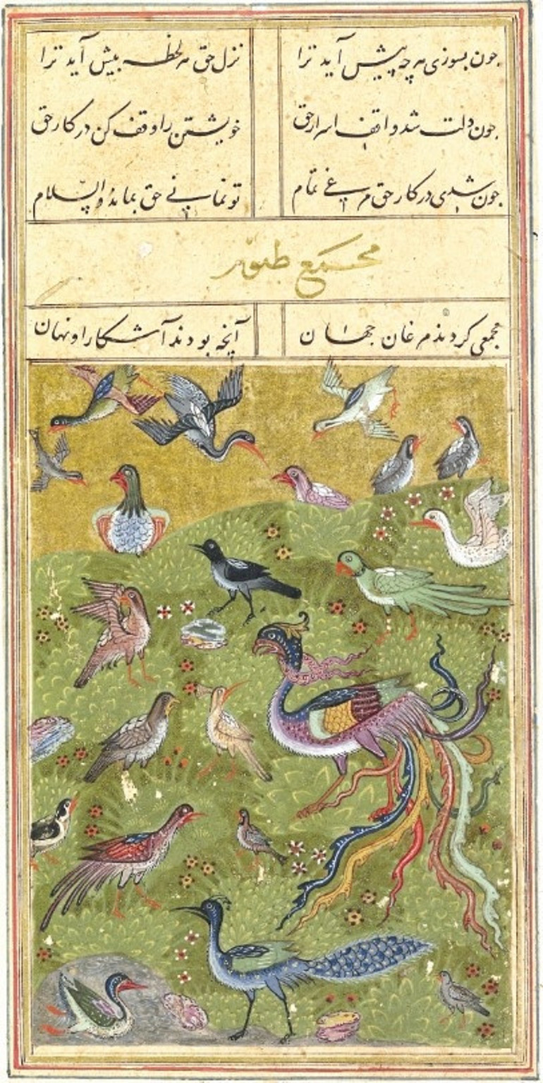 Kuşların dilinden
