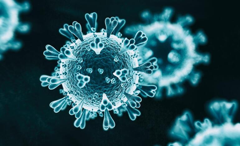 Japon bilim insanları açıkladı: İşte Kovid-19a iyi gelen meyve