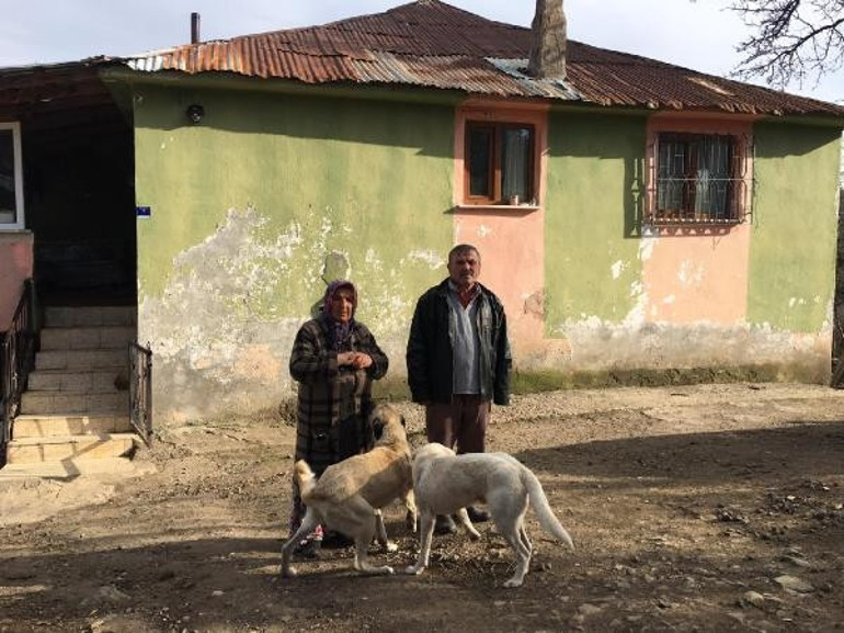 Dehşet anlarını gözyaşlarıyla anlattılar