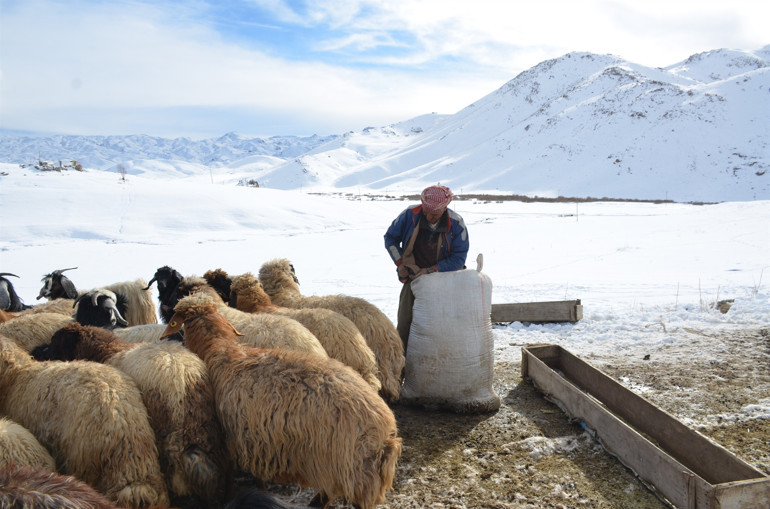 Şehir hayatından sıkıldı 4 yıldır eksi 30 derecede yaylada yaşıyor