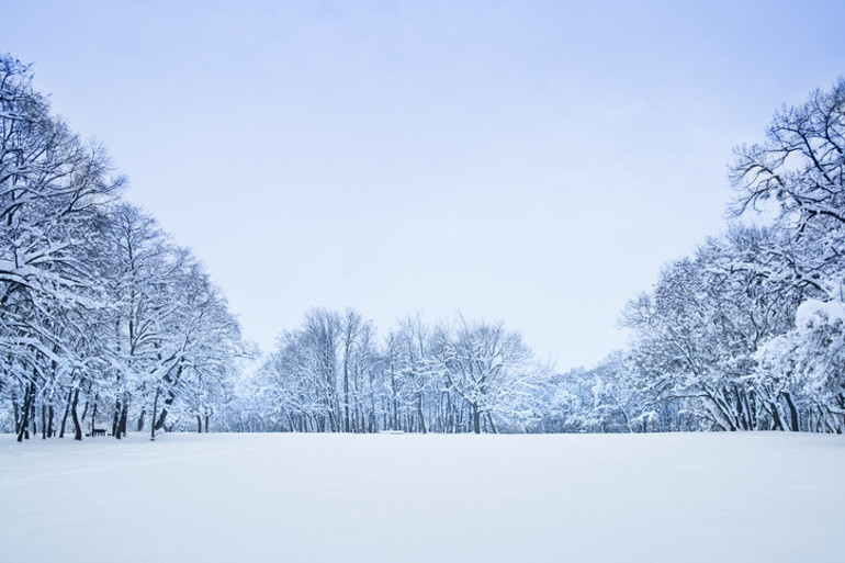 En güzel kış aktivitesi: Karda yürüyüş… | 6 ŞEHİR 10 ROTA