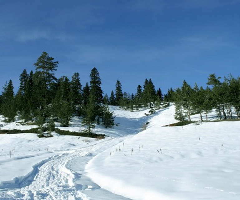 En güzel kış aktivitesi: Karda yürüyüş… | 6 ŞEHİR 10 ROTA