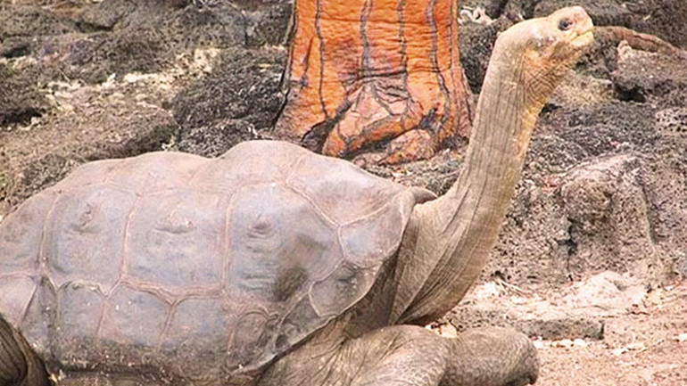 ‘Ateş coğrafyası’na yolculuk