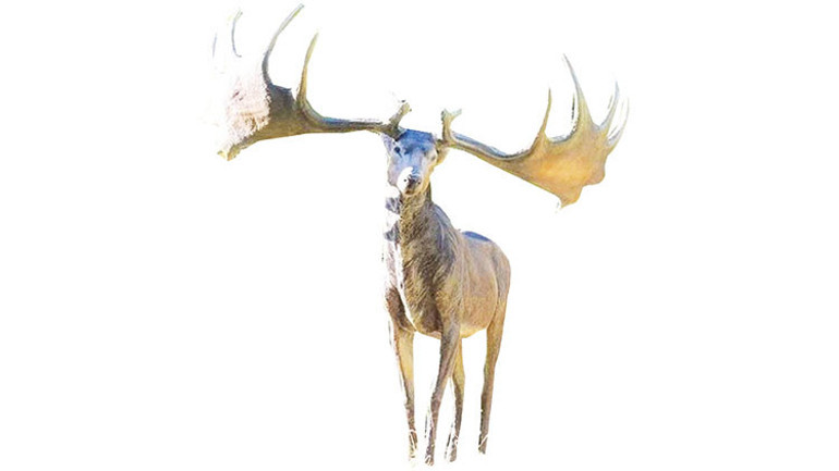 ‘Ateş coğrafyası’na yolculuk