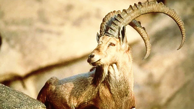 ‘Ateş coğrafyası’na yolculuk