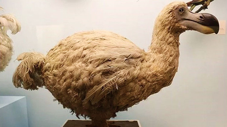 ‘Ateş coğrafyası’na yolculuk