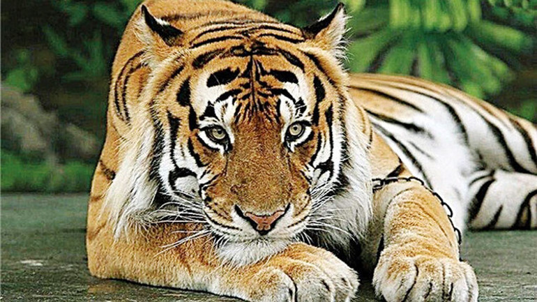 ‘Ateş coğrafyası’na yolculuk