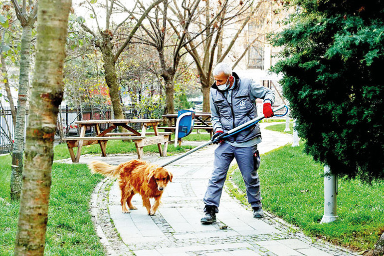 Sokak hayvanları meselesine dair çok yalın bir yazı