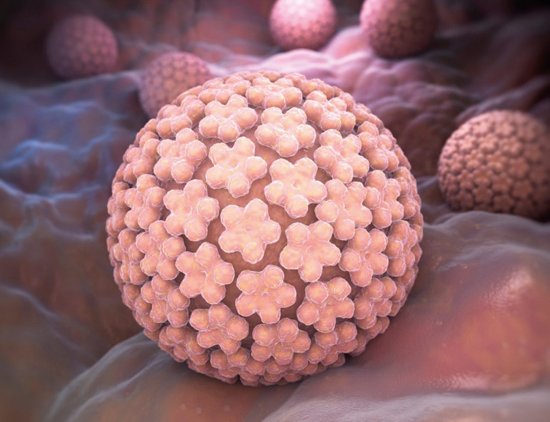 ‘HPV’ erkeklerde kısırlık riski yaratıyor